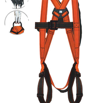 GEN-02 Safety Belt