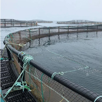 Agriculture Green House Nets