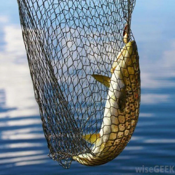 Double Cord Safety Net